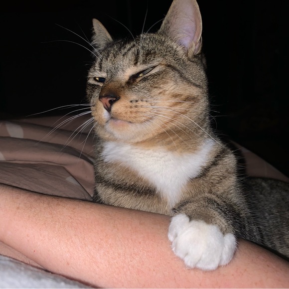 Meet your Posher, Sura-Quay or SQ - Picture 5 of 7